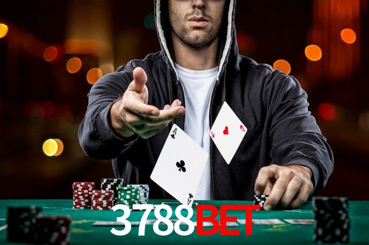 3788bet.com